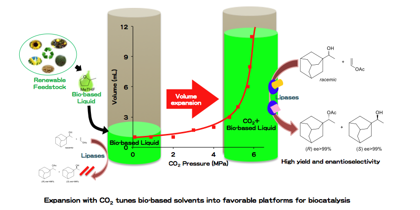CO2 Expanded Lipase