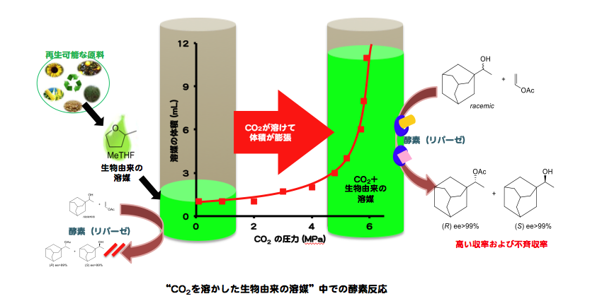 CO2 Expanded Lipase